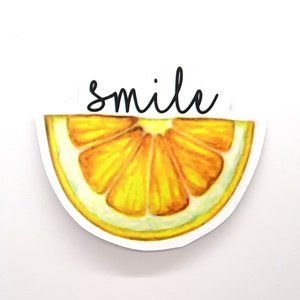 VSCO Stickers 10 for $15